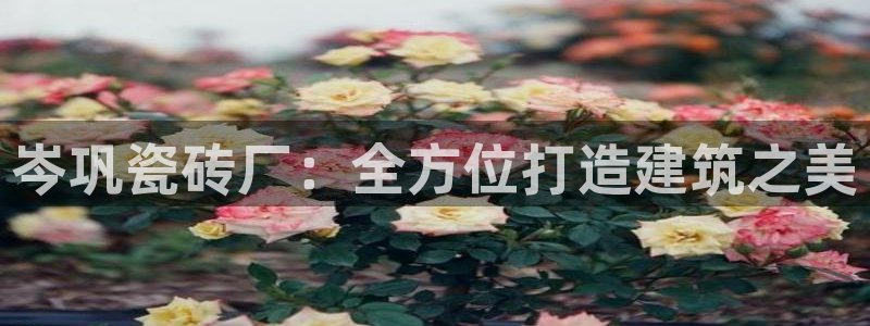 杏鑫平台代理注册流程及费用