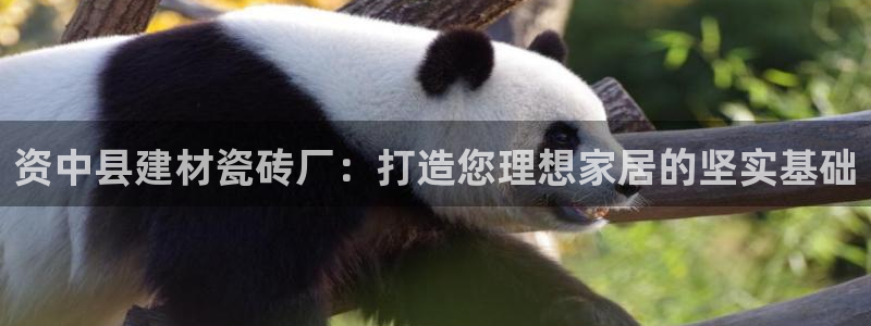 杏鑫官网注册账号怎么注册的