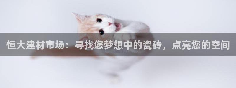 杏鑫平台代理注册流程