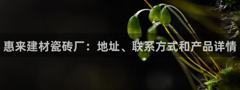 杏鑫平台代理注册登录不了怎么办呀视频