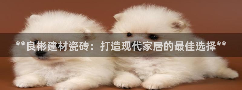 杏鑫平台注册地址是哪里