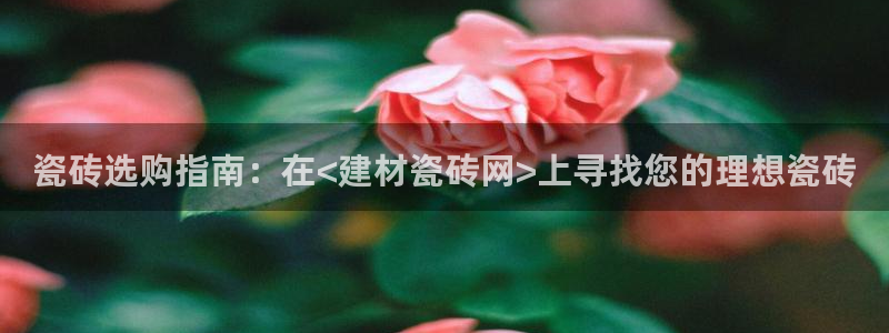 杏鑫有亏损返点吗