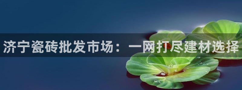 杏鑫平台怎么样黑钱吗是真的吗还是假的