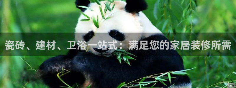 杏鑫娱乐平台测速怎么样