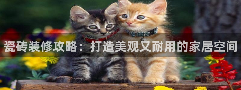 杏鑫注册登录代理公司