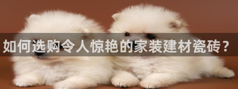 杏鑫平台登录注册