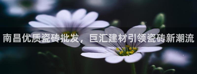 杏鑫平台代理怎么做赚钱