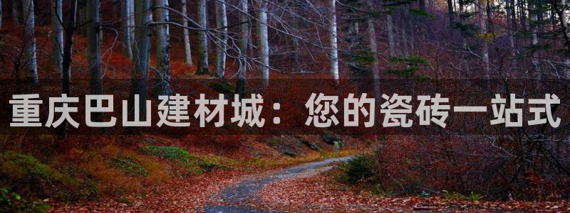 杏鑫娱乐负责人