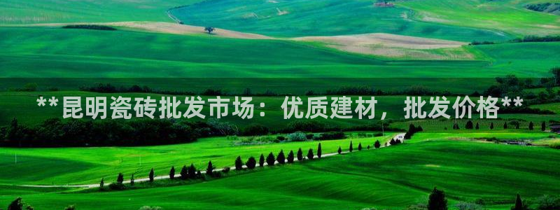 杏鑫平台登陆