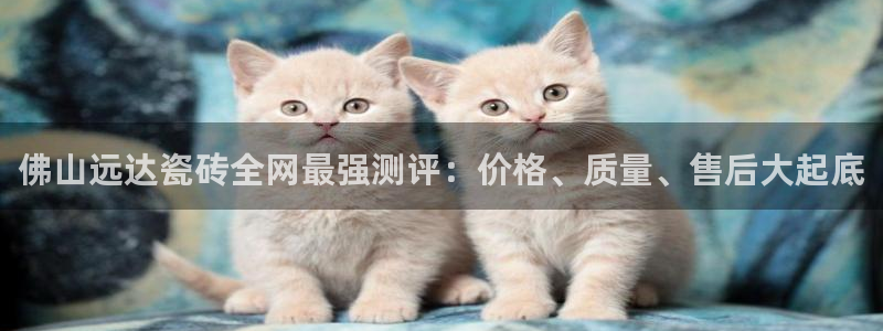杏鑫平台代理