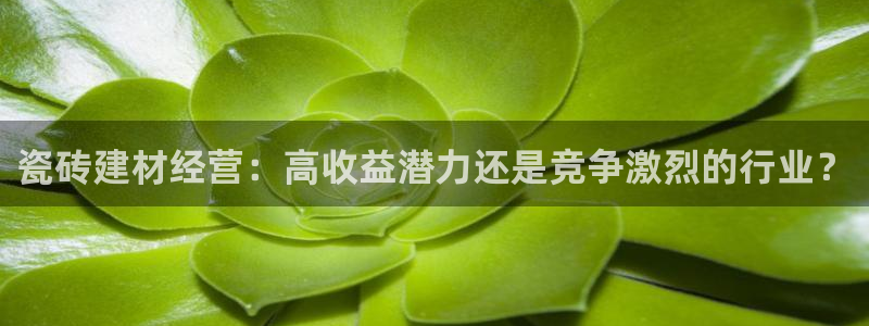 杏鑫平台代理怎么样