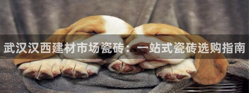 杏鑫平台号7O777