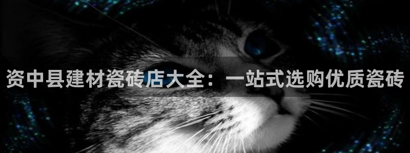 杏鑫代理注册资金多少