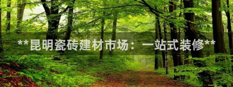 杏鑫官网最新信息