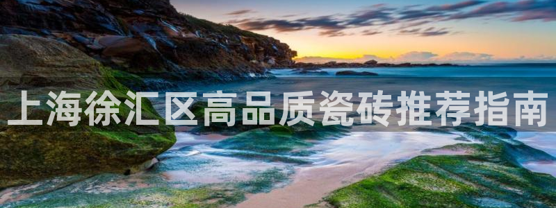 杏鑫手机客户端怎么下载
