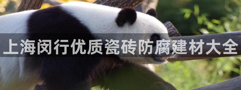 杏鑫平台代理注册流程
