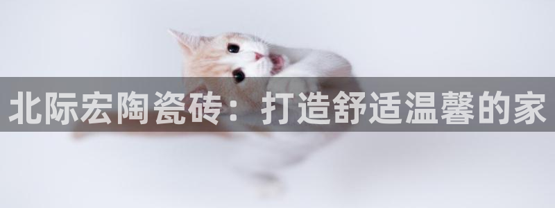 杏鑫平台登陆