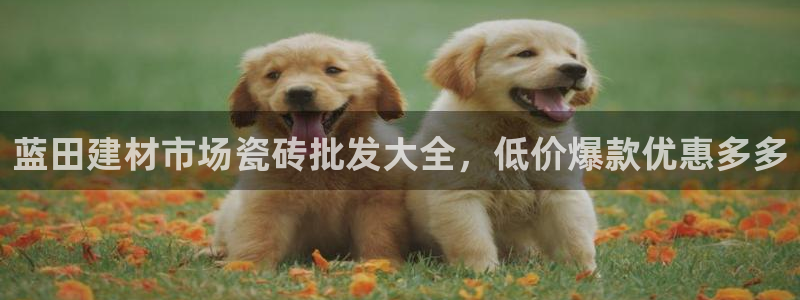 杏鑫平台平台娱乐