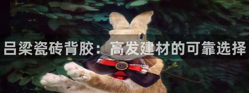 杏鑫手机客户端