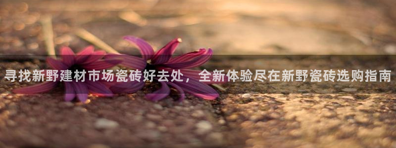 杏鑫平台注册地址在哪里