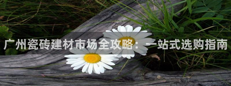 杏鑫官网注册账号怎么注册的