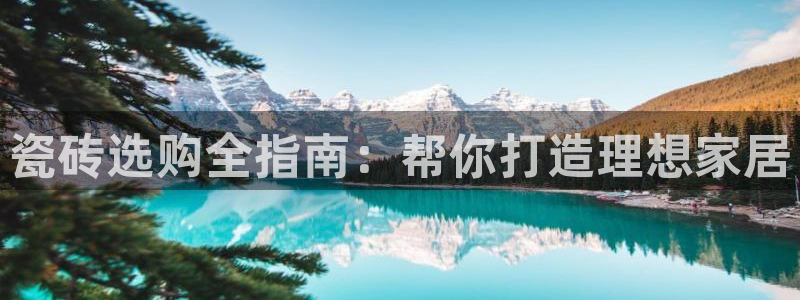 杏鑫平台代理注册流程及费用