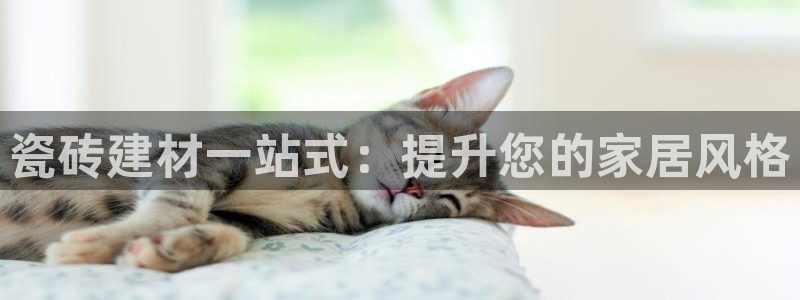 杏鑫娱乐官方网站客户端登录