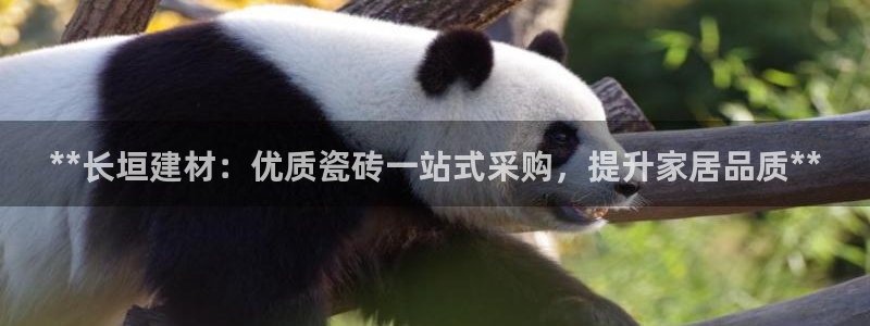 杏鑫主管