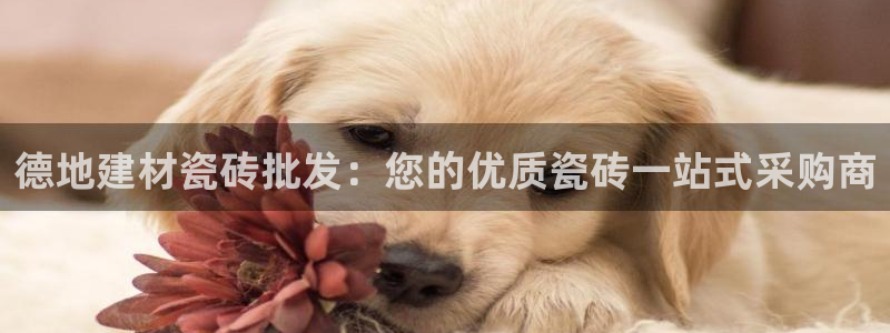杏鑫平台怎么样黑钱吗是真的吗知乎