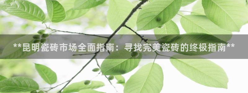 杏鑫娱乐官网下载
