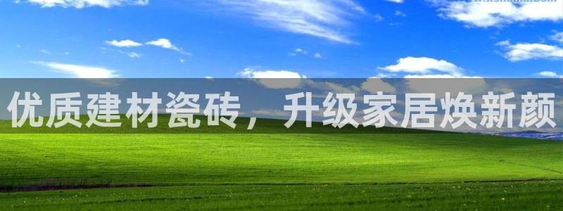 杏鑫官网注册账号怎么注册不了