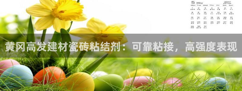 杏鑫平台官方网站