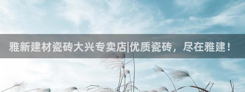 杏鑫注册登录代理