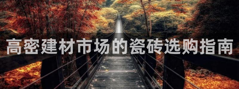 杏鑫平台代理注册登录不了怎么办呀视频