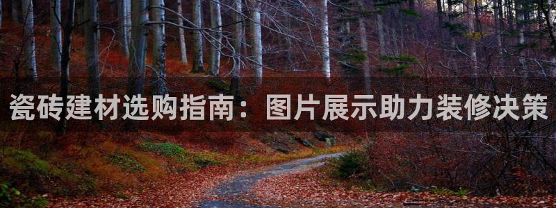 杏鑫平台代理注册登录不了怎么办呀苹果