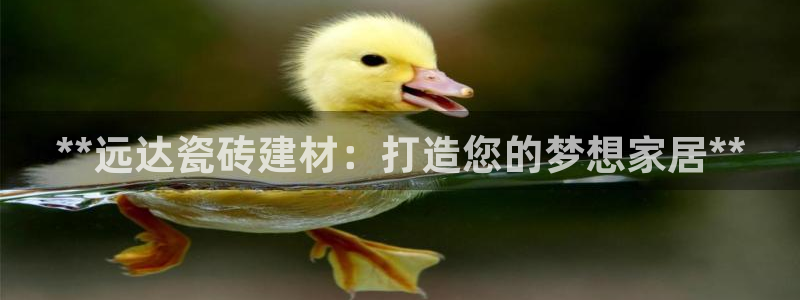 杏鑫官方平台怎么样啊安全吗