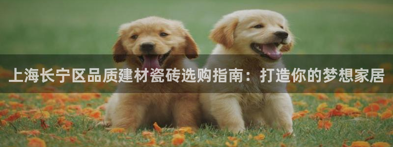 杏鑫平台注册网址是多少