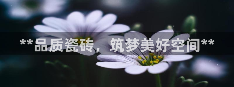 杏鑫平台线路测速