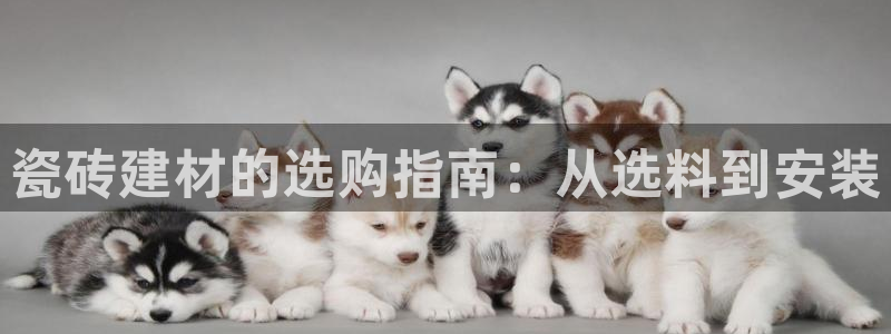 杏鑫官网注册账号是什么