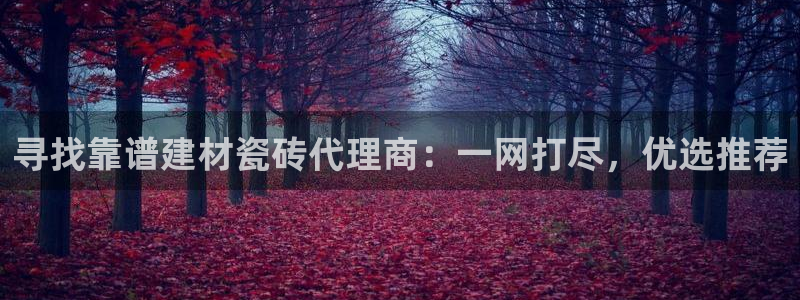 杏鑫平台代理注册多少钱一个