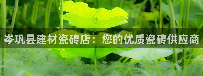 杏鑫平台代理注册