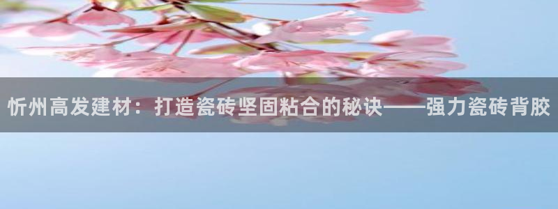 杏鑫娱乐官方网站客户端下载