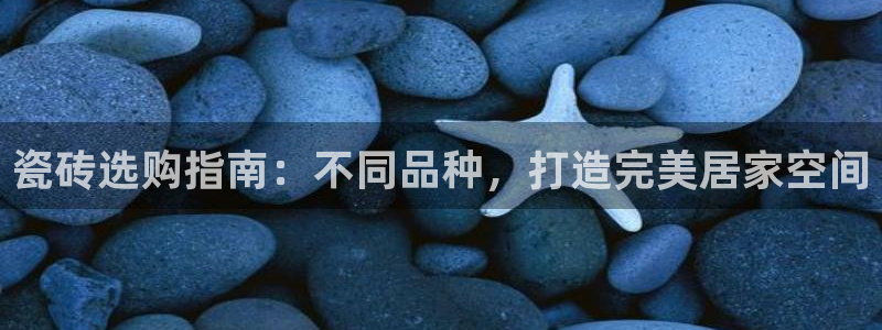 杏鑫官网最新信息新闻