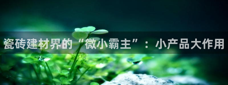 杏鑫娱乐是合法的吗?
