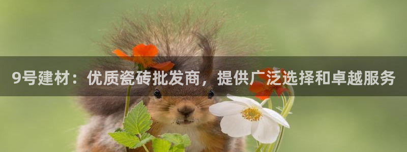 杏鑫平台招商电话是多少