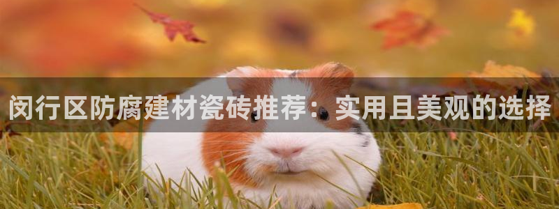 杏鑫官网注册账号怎么注册的