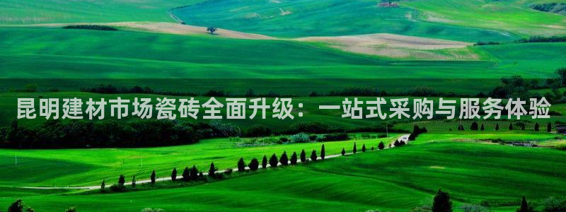 杏鑫代理注册资金多少