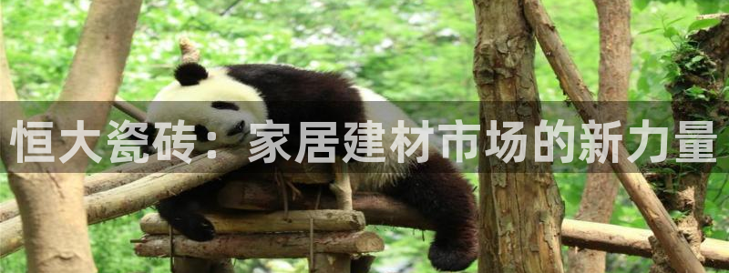 杏鑫娱乐是合法的吗?