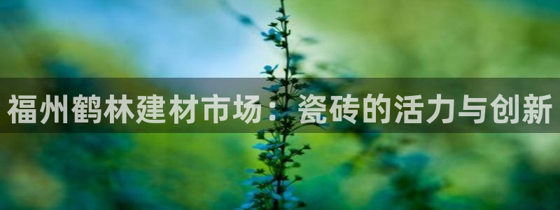 杏鑫娱乐负责人