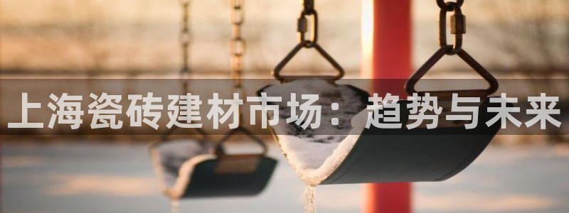 杏鑫官网注册账号是什么样的